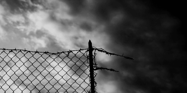 fence fence