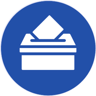 ccs-icon-voterid-crazy